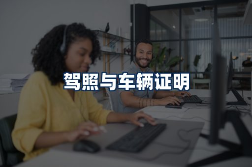车辆证明展示